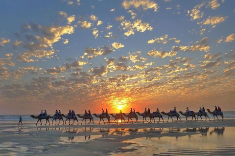 1 Hour Broome Sunset Camel Tour - Accommodation in Bendigo 1