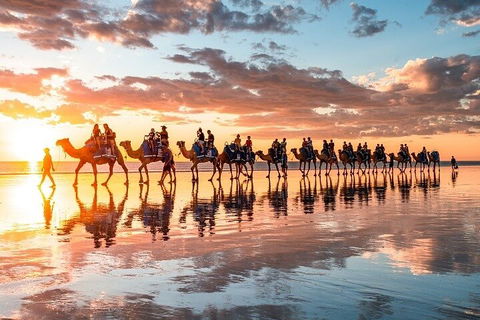 1 Hour Broome Sunset Camel Tour - Accommodation in Bendigo 2