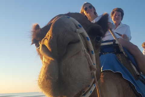 1 Hour Broome Sunset Camel Tour - Accommodation in Bendigo 4
