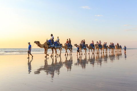 1 Hour Broome Sunset Camel Tour - Accommodation in Bendigo 5
