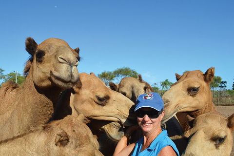 Broome Pre-sunset Camel Tour 30 Minutes - Accommodation in Bendigo 0