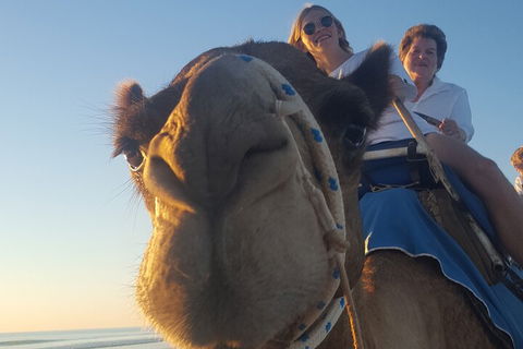Broome Pre-sunset Camel Tour 30 Minutes - Accommodation in Bendigo 1