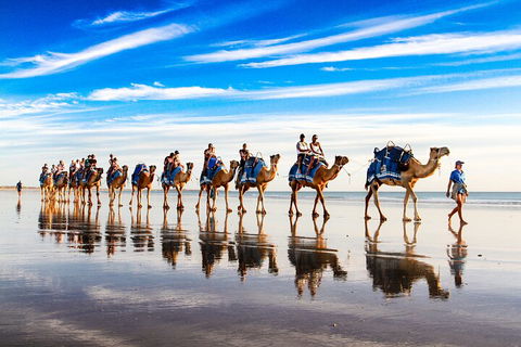 Broome Pre-sunset Camel Tour 30 Minutes - Accommodation in Bendigo 2