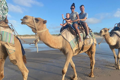 Broome Pre-sunset Camel Tour 30 Minutes - Accommodation in Bendigo 3