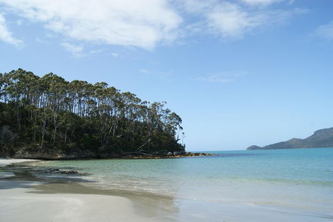 Bruny Island Day Trip From Hobart - Accommodation in Bendigo 1