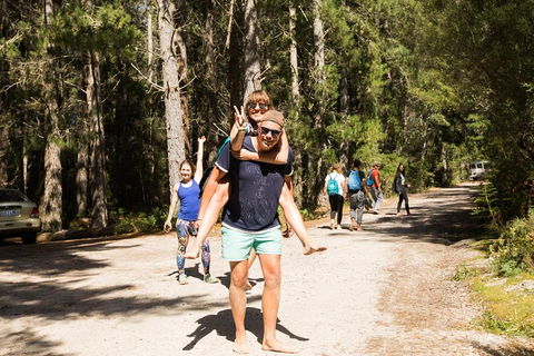 7-Day Best Of Tasmania Adventure Experience From Hobart (flexible Ticket) - Accommodation in Bendigo 5