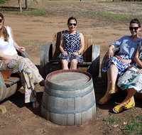 McLaren Vale Intimate Winery Tour by private Limo