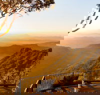 O'Reilly's  Lamington National Park incl. Alpaca Farm  Vineyard - Accommodation in Bendigo