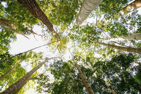 Fraser Island 4WD Tour From Noosa - Accommodation in Bendigo 0