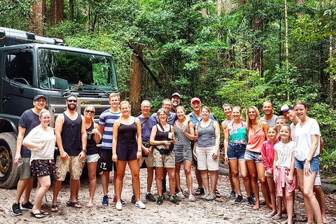 Fraser Island 4WD Tour From Noosa - Accommodation in Bendigo 3