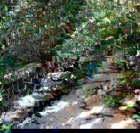 Fraser Island 4WD Tour from Rainbow Beach - Accommodation in Bendigo