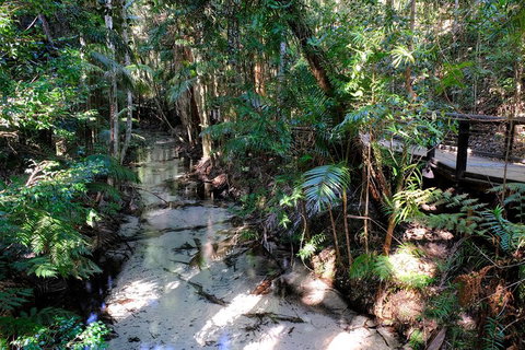 Fraser Island 4WD Tour From Rainbow Beach - Accommodation in Bendigo 0