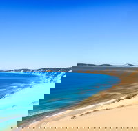 Kayak with Dolphins and 4WD Great Beach Drive Day Trip from Noosa - Accommodation in Bendigo