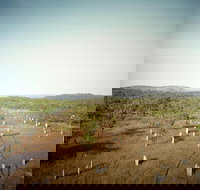 ETHICAL ADVENTURES - Litchfield Region Max 10 guests - Accommodation in Bendigo