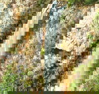 Private Tour - Rainforest  Waterfalls Extravaganza - Accommodation in Bendigo
