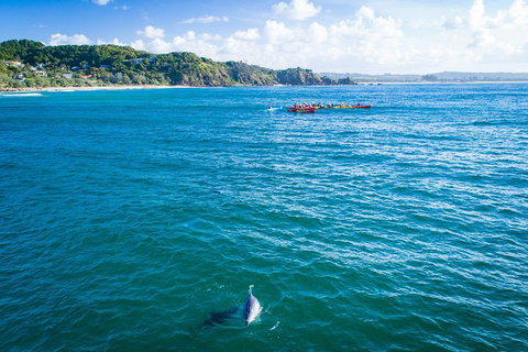 The Byron Bay Sea Kayak Tour - Accommodation in Bendigo 2