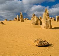 The Pinnacles Sea and Dunescapes Bush Reserve and Sunset Day Tour