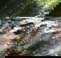 Daintree Rainforest Cape Tribulation Mossman Gorge Small-Group Day Tour - Accommodation in Bendigo