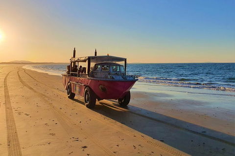 Town Of 1770 Afternoon Cruise - Accommodation in Bendigo 1