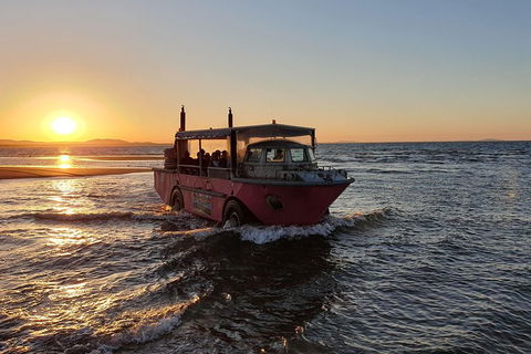 Town Of 1770 Afternoon Cruise - Accommodation in Bendigo 3