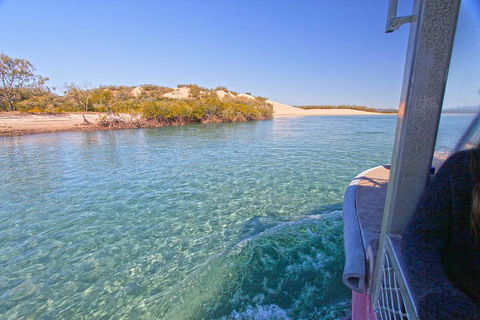 1770 Coastline Tour By LARC Amphibious Vehicle Including Picnic Lunch - Accommodation in Bendigo 5