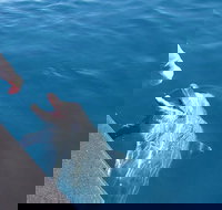 Noosa Thriller - 500hp Ocean Adventure Ride - Accommodation in Bendigo