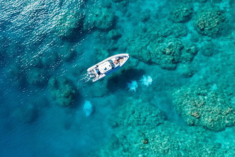Premium Private Charter - Accommodation in Bendigo 0