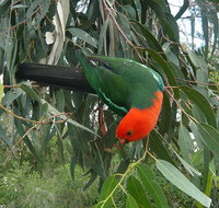3-Day Private Adelaide to Melbourne tour