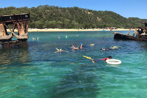 All Inclusive Dolphin And Tangalooma Wrecks Cruise - Accommodation in Bendigo 0