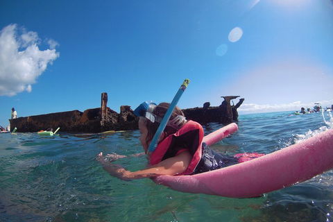 All Inclusive Dolphin And Tangalooma Wrecks Cruise - Accommodation in Bendigo 2