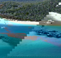 All Inclusive Tangalooma Wrecks Cruise Tour From Gold Coast - Accommodation in Bendigo