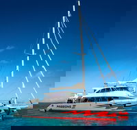 Passions of Paradise Great Barrier Reef Snorkel and Dive Cruise from Cairns by Luxury Catamaran - Accommodation in Bendigo