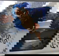 3/4 Day 7 Hour Offshore Fishing Charter - Accommodation in Bendigo