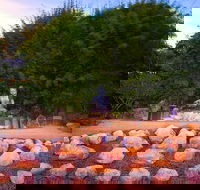 Byron Bay and the Crystal Castle Day Tour from Gold Coast - Accommodation in Bendigo