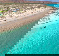 Ningaloo in a Day - Full Day Hike and Snorkel Tour with Lunch - Accommodation in Bendigo
