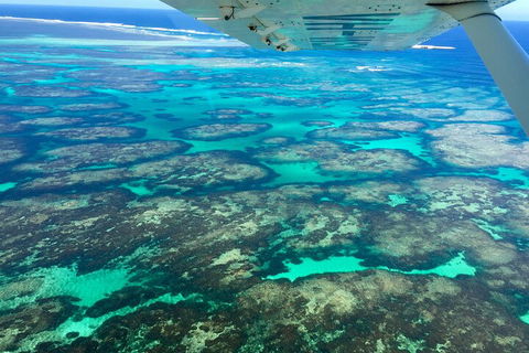 Shipwreck Special Full Day Tour Of The Abrolhos Islands - Accommodation in Bendigo 1