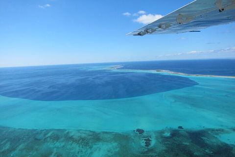 Shipwreck Special Full Day Tour Of The Abrolhos Islands - Accommodation in Bendigo 2