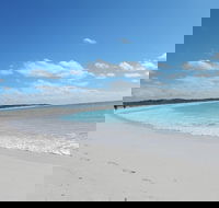Shipwreck Special Nature Tour/Half Day Tour - Accommodation in Bendigo