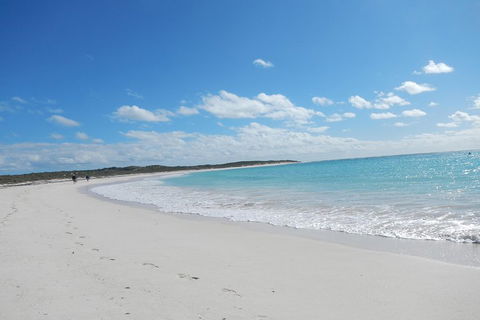 Shipwreck Special Nature Tour/Half Day Tour - Accommodation in Bendigo 0