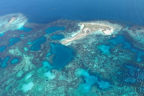 Shipwreck Special Nature Tour/Half Day Tour - Accommodation in Bendigo 5