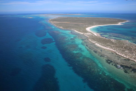 Pink Lake + Abrolhos Islands Scenic Flight - Accommodation in Bendigo 0