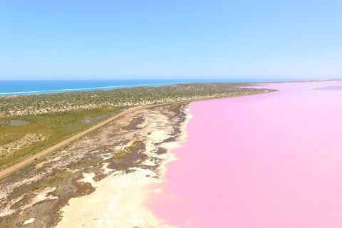Pink Lake + Abrolhos Islands Scenic Flight - Accommodation in Bendigo 4