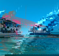 Best of Moreton Bay Cruise - Accommodation in Bendigo