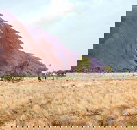 Uluru Sunrise and Guided Base Walk - Accommodation in Bendigo