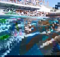 Great Barrier Reef Day Cruise from Cairns Including Snorkeling and Marine Biologist Presentation - Accommodation in Bendigo