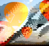 Natural Bridge  Springbrook Waterfalls Tour  Hot Air Balloon with Breakfast - Accommodation in Bendigo