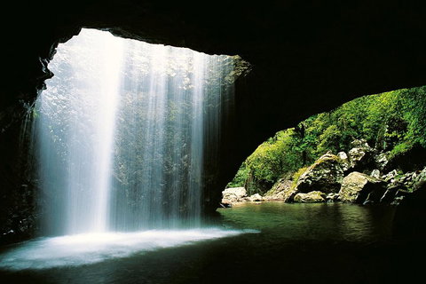 Natural Bridge & Springbrook Waterfalls Tour - Accommodation in Bendigo 0