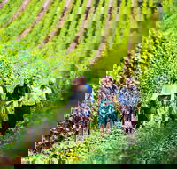 Tasmanian Wine Tour - Accommodation in Bendigo