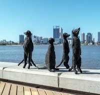 Perth by Bike Private Tour with a Local