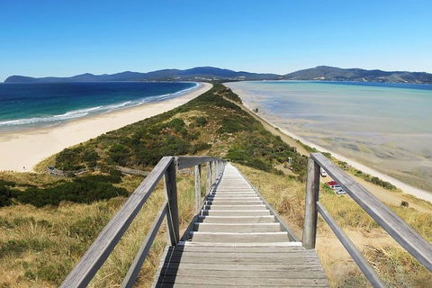 Bruny Island Private Charter Service - Accommodation in Bendigo 4